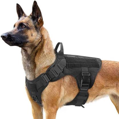 ADIOS Pet Harness with 2 Leash Clips, Adjustable Soft Padded Dog Vest Dog Training Harness