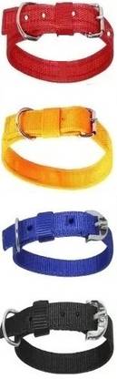 G T L Enterprises GTL Pets Dog & Cat Everyday Collar (Medium, Red ,Yellow, Royal Blue, Black) Dog Everyday Collar