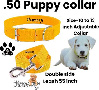Pawezzyy Dog Collar & Leash