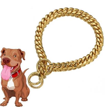 Regiis Premium Dog Brass Golden Chain For Small Size Dogs Dog Everyday Collar Dog Collar & Chain