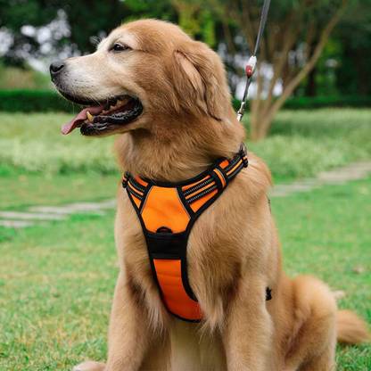 BODY BUILDING Pet Harness with 2 Leash Clips, Adjustable Soft Padded Dog Vest, Reflective Dog Training Harness
