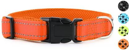 Hank Dog Everyday Collar