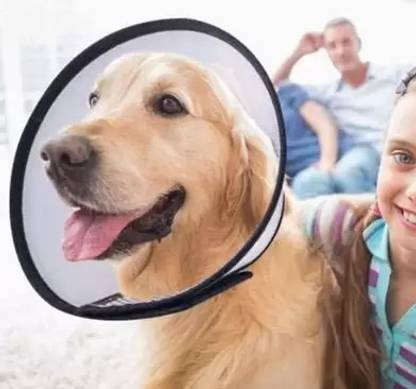 VEER Dog Head Collar