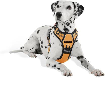 THE PETS POPULAR Training Orange Harness, Premium Harness Dog Standard Harness