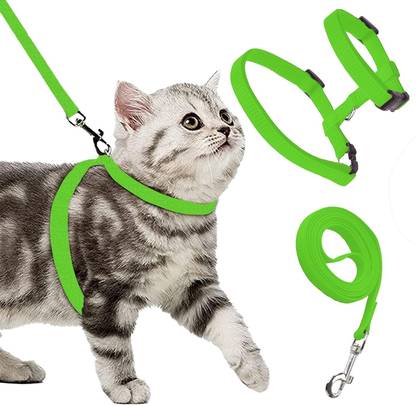 BODY BUILDING Adjustable Green Cat Harness & Leash