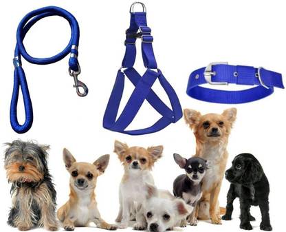 Hundur Store Combo Pack of Dog Harness, Neck Collar & Rope Suitable For All Dog Harness & Leash
