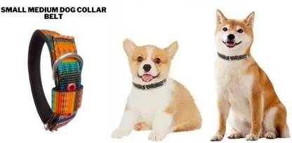 DRK Shop Mart Dog Everyday Collar
