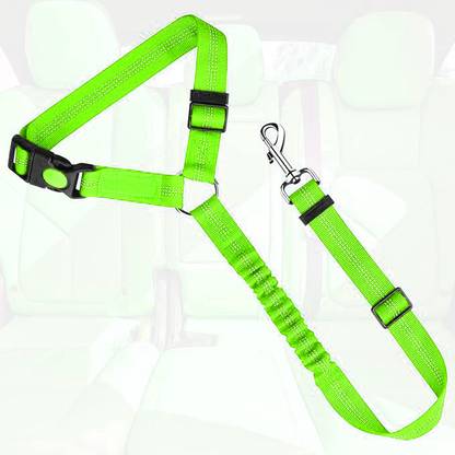 PETANGEL Dog & Cat Leash