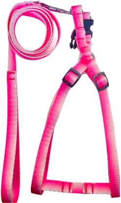 DogTrust Dog Harness and Leash Set, Cute Dog Harness with Leash Dog & Cat Harness & Leash