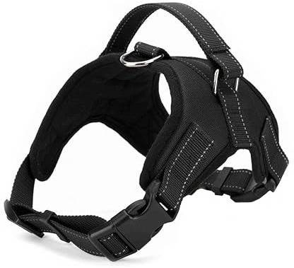 Petshop7 Dog Safety Harness