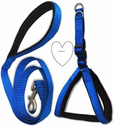Aftra Combo Pack Soft Comfortable Breakaway Closure Dog Harness & Leash