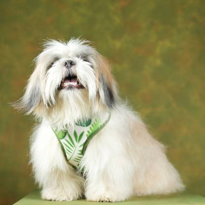 unleash Dog Standard Harness