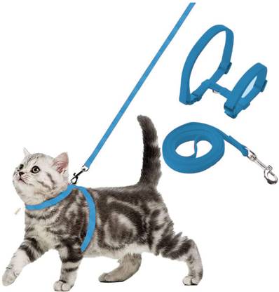 Buraq Cat Buckle Harness