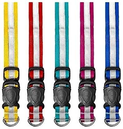 Daviloss Paws color may very Reflective Street Dogs Adjustable Pack 10 Free size all breeds Dog Everyday Collar