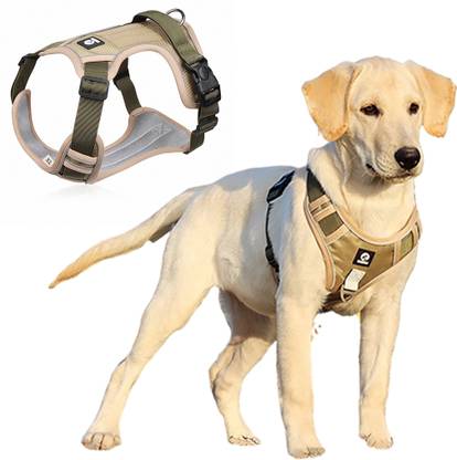 Qpets No Pull Dog Harness with Safety Reflective Strip for Small Medium Large Dogs Dog Standard Harness