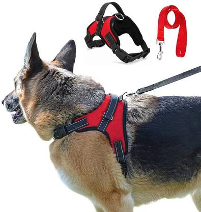 Petlia Body Belt Collar Training Lead Dog Leash Padded Nylon Set Combo XXL Dog Harness & Leash