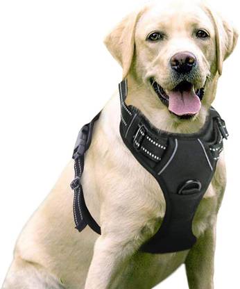 BODY BUILDING Pet Harness with 2 Leash Clips, Adjustable Soft Padded Dog Vest, Reflective Dog Training Harness