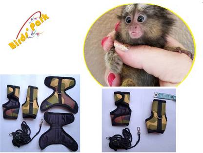 Birds' Park Monkey Harness & Leash