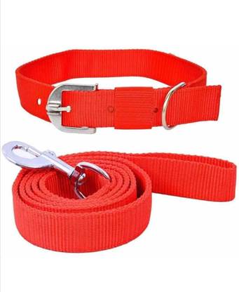 Aviean International Dog Belts (Waterproof, Medium, Leash Size 0.75 ) Dog Collar & Leash Dog Collar & Leash