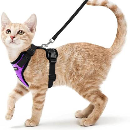 Buraq Cat Harness Wth Leash for Walking | Escape Proof | Air Mesh Fabric Cat Standard Harness