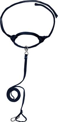 EFTI Black Flat Rope Cow Halter Cow Harness & Leash