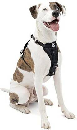 Kurgo Dog & Cat Buckle Harness