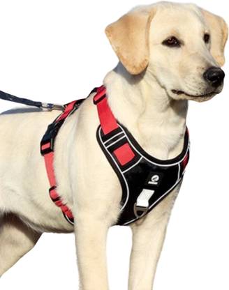 Love4Tails 22-45kg Dog Standard Harness