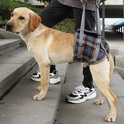 A+a pets Lift Support Harness for Back Legs for Disable Aged Injured Paralysed Arthritis Dog Safety Harness