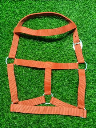 Amar Cotton Amar Cotton Red Horse Nylon (2 Ply Layer) Halter/Bridle/Morkhi/Mohra Horse Standard Harness