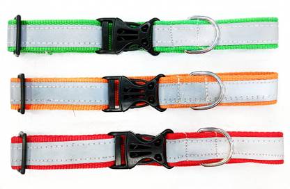 Rexalt Dog & Cat Everyday Collar