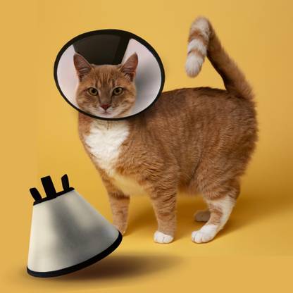 PALLY Pets Products PALLY Pets' Products Kitten Cat E-Collar Cat Head Collar