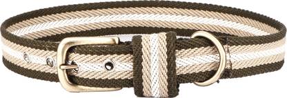 Sparrow Daughter Cotton Dog Collar | Neck Belt for All Breeds- (16 X 1 Inch) Dog Everyday Collar