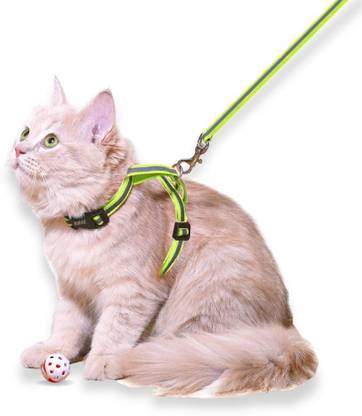Buraq Reflective Cat Harness with Leash Set for Walking , Escape Proof Cat Harness & Leash