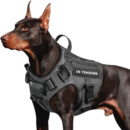 BlingPets Premium Dog Harness, Adjustable Dog Vest Harness, Dog & Cat Training Harness