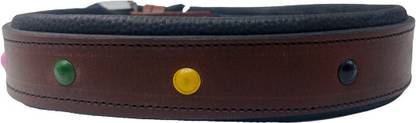 FOREVER99 Soft Touch Leather Dog Collar Most Comfortable Small Fits Neck Size 10" to 15" Dog Collar & Leash