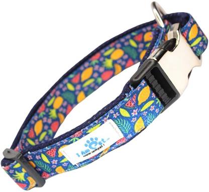 IAmPet Soft Mesh Padded Printed Dog Collar with Durable Metal Buckle Dog Everyday Collar