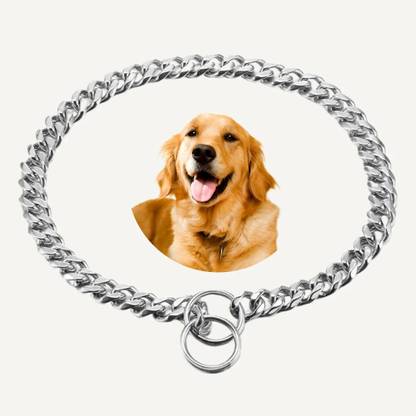 Regiis Dog Choke Chain Collar
