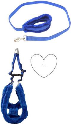 Aftra Dog & Cat Harness & Leash