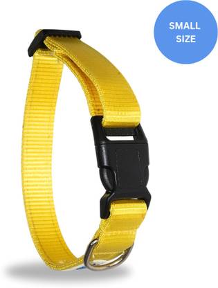IAmPet Dog Collar With Double Layer Strap Dog Everyday Collar