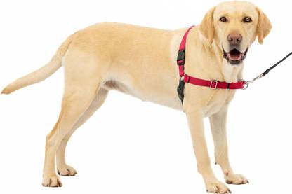 WapaW No-Pull Dog Harness with Leash | Adjustable Halter Harness Dog Harness & Leash