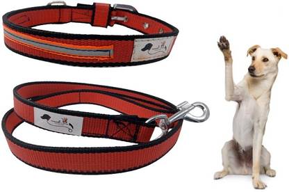 FOREVER99 Dog Collar Pet Security Reflective Nylon Neck Belt X-Small Fit Neck 9 to 12 inch Dog Collar & Leash