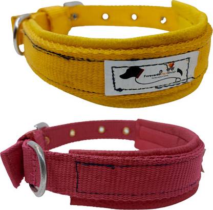 FOREVER99 Dog Collar Nylon Black Soft Padded Extra Large Fits Neck Size 21" to 24" Dog & Cat Collar & Leash