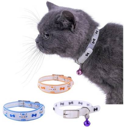 PSK PET MART Dog Trust Pet Kitten Cats and Small Dogs Pets Dog & Cat Everyday Collar