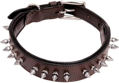 ADIL'S Dog Everyday Collar