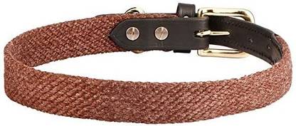 Sparrow Daughter Dog Everyday Collar