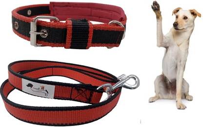 FOREVER 99 Dog Collar Nylon Black Soft Padded Waterproof XXL Fits Neck Size 24" to 28" Dog Collar & Leash