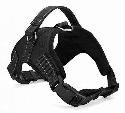 PETSPOPULAR PETSPOPULAR Premiuim Quality Safety Dog Harness Dog Buckle Harness (XL) Dog Collar & Leash