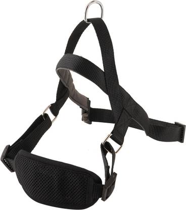 GLOBE OF PETS Lightweight No-Pull, No-Choke Adjustable and Padded Harness for Dogs Dog Standard Harness