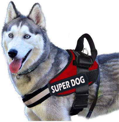 Cocker No Pull Dog Harness Adjustable Reflective Comfortable Dog Standard Harness