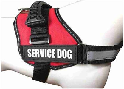 Sip Dog Safety Harness